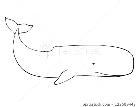 Outline of sperm whale, cachalot, sea animals. Hand drawn black inks. Vector illustration Drawing of Aquatic placental marine mammal with flippers and tail. Etching of underwater fish. 122599442