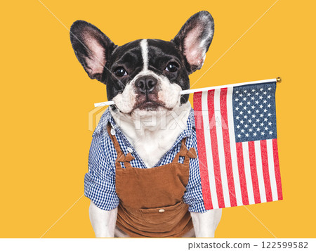 Charming puppy and American Flag. Studio shot 122599582