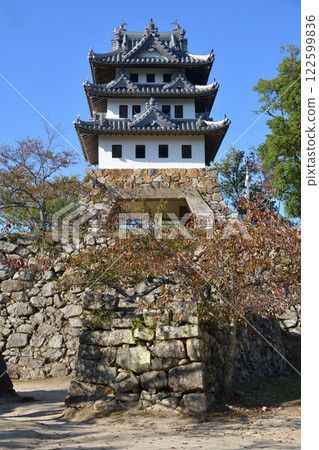 洲本城跡：縱向構圖 122599836