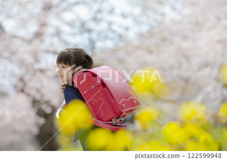 一名一年級的小學生在種滿油菜花和櫻花的公園散步 122599948