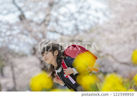 一名一年級的小學生在種滿油菜花和櫻花的公園散步 122599950
