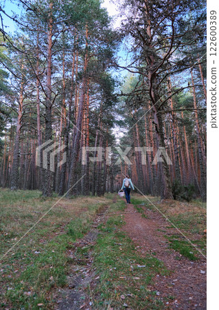 a girl with a basket of mushrooms 122600389
