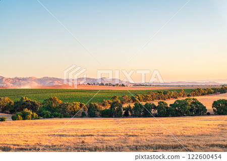 Barossa Valley grape and wheat farm fields Barossa Valley grape and wheat farm fields 122600454