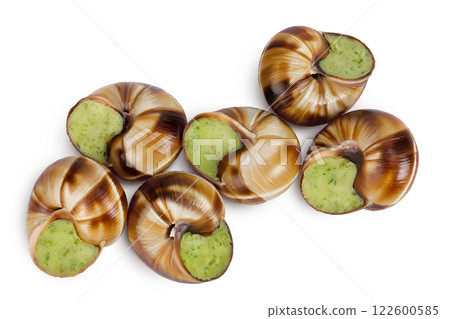 escargot snail filled with garlic and parsley butter isolated on white background. Top view. Flat lay escargot snail filled with garlic and parsley butter isolated on white background. Top view. Flat lay 122600585