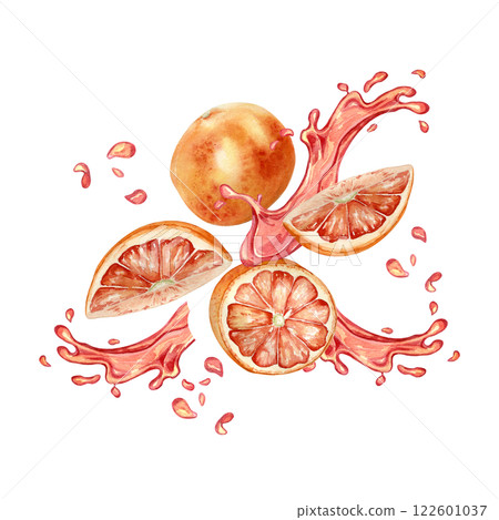 Red oranges segments and splash juice watercolor illustration isolated on white. Pieces of ripe citrus fruits and halves hand drawn. Fresh juicy grapefruits levitation. Design for label, packaging. Red oranges segments and splash juice watercolor illustration isolated on white. Pieces of ripe citrus fruits and halves hand drawn. Fresh juicy grapefruits levitation. Design for label, packaging. 122601037