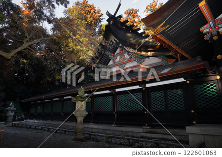 千葉縣的多元魅力（香取神社莊嚴的黑漆本殿在冬日的陽光下更加熠熠生輝。） 122601063