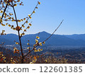 Wintersweet flowers, Mt. Buko and the town of Chichibu as seen from Mt. Hodo in Nagatoro Town, Saitama Prefecture 122601385