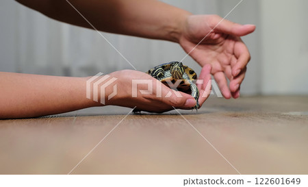 A close-up shot of a small turtle resting in someone's hand on a wooden surface. This image highlights the gentle bond between humans and animals, emphasizing care and connection with nature. A close-up shot of a small turtle resting in someone's hand on a wooden surface. This image highlights the gentle bond between humans and animals, emphasizing care and connection with nature. 122601649