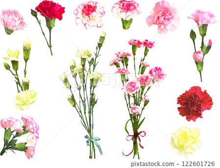 Spring flower illustration material set (carnation) 122601726