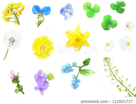 Spring flower illustration material set (wildflowers 1) 122601727
