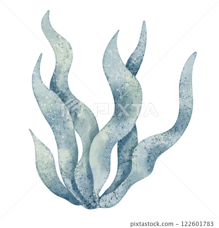 Watercolor Seaweed illustration in green and blue colors. Drawing of Algae for childish greeting cards or baby shower invitations in nautical style. Art of underwater plant for nursery decor. 122601783