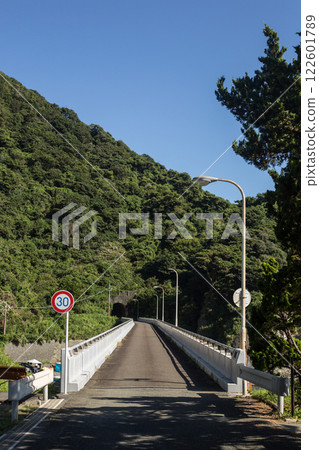 夏季伊豆之旅：浮潛與游泳 122601789