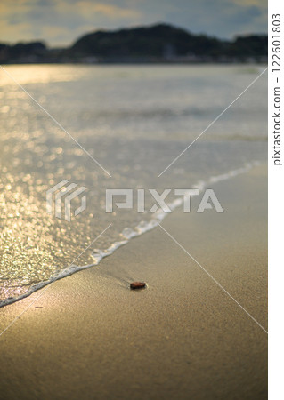 Summer trip to Izu: snorkeling and swimming 122601803