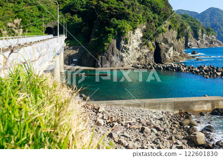 Summer trip to Izu: snorkeling and swimming 122601830