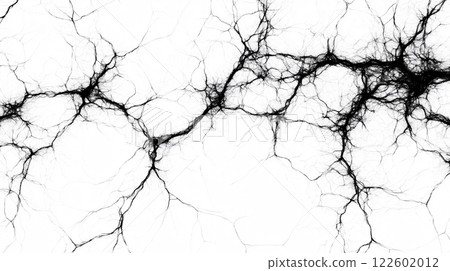 Close-up of neurons, neural network, nervous system, detail intricate of connections background 122602012