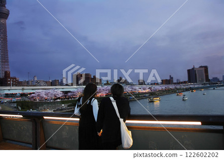 The warmth of lovers' clasped hands and the cherry blossoms lining the Sumida River at night in full bloom are impossible to imagine. The warmth of lovers' clasped hands and the cherry blossoms lining the Sumida River at night in full bloom are impossible to imagine. 122602202
