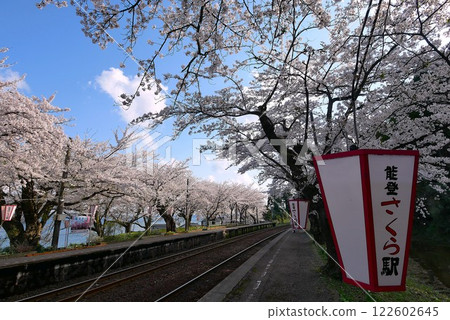 Sakura Station in full bloom Sakura Station in full bloom 122602645