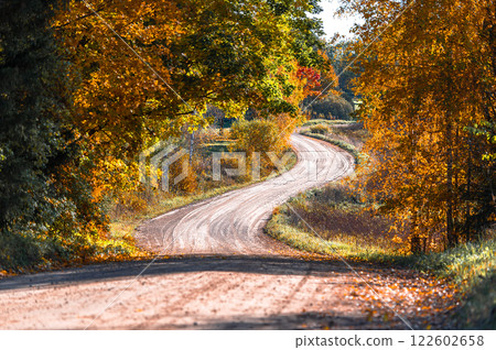 Winding road curves through scenic autumn foliage trees in Latvia 122602658