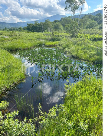 The Ozegahara marsh and the mountains in the distance 122602740