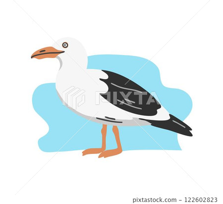 Sea bird seagull Sea bird seagull 122602823
