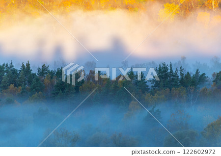 Picturesque valley of colorful trees in Sigulda. Autumn mist covering forest and river Gauja. 122602972