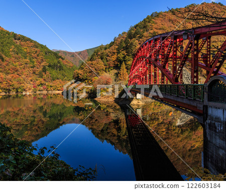 Okutama Autumn Leaves Family Trip Day Trip 122603184
