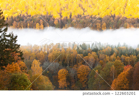 Picturesque valley of colorful autumn trees in Sigulda. Morning mist over forest and river Gauja Picturesque valley of colorful autumn trees in Sigulda. Morning mist over forest and river Gauja 122603201