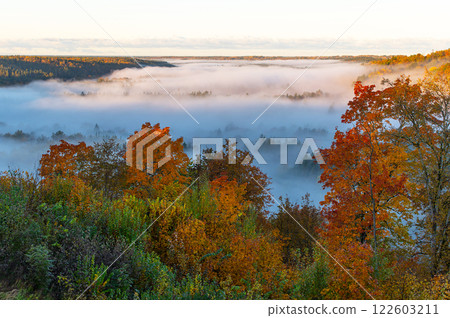 Beautiful view of old valley of the Gauja river, autumn morning fog in Sigulda, Latvia 122603211