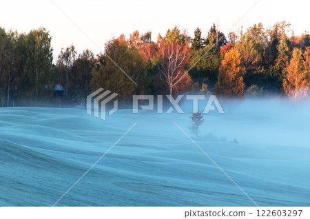 Autumn morning landscape with fog over frosty golf courses in Sigulda, Latvia 122603297