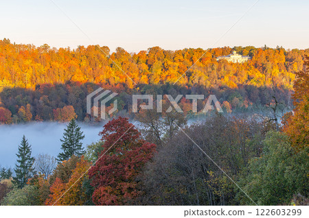 Autumn colorful forest and white fog over Gauja river in Gauja National Park in Sigulda, Latvia 122603299