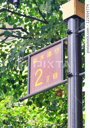 Namiki-dori Street (Ginza, Chuo Ward, Tokyo) Namiki-dori Street (Ginza, Chuo Ward, Tokyo) 122604774