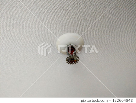 Fire Sprinkler System for Indoor Safety and Emergency Preparedness 122604848