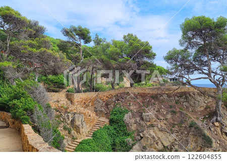 Mediterranean Coastal Pathway with Stone Steps and Lush Pine Trees 122604855