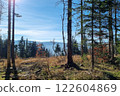Tranquil Forest Landscape in Autumn with Scenic Mountain Views 122604869