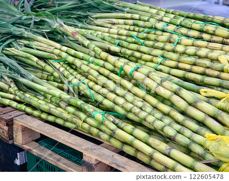 Sugarcane harvest sales overseas Sugarcane harvest sales overseas 122605478