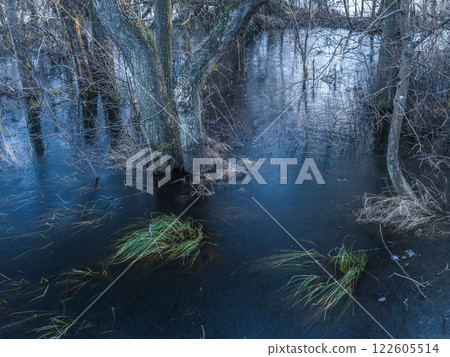 Frozen Woodland Landscape With Trees Reflecting on the Ice-Covered Water 122605514