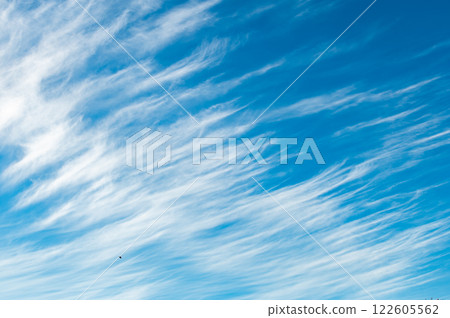 Cirrus vertebratus is a type of cirrus cloud. Blue sky background. Cirrus vertebratus is a type of cirrus cloud. Blue sky background. 122605562