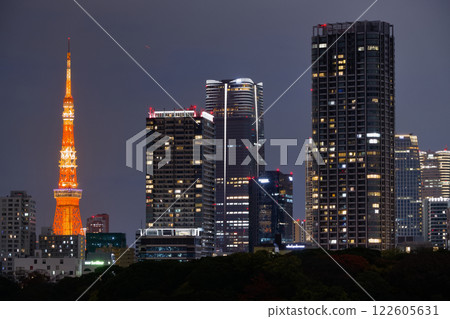 東京：汐留的夜景和燈火通明的東京鐵塔 122605631