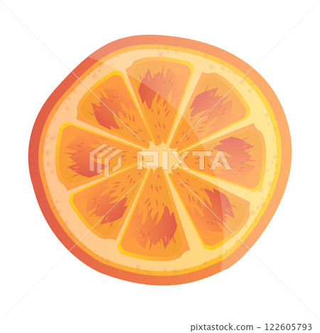 Sliced fresh fruit citrus orange cartoon illustration image Sliced fresh fruit citrus orange cartoon illustration image 122605793