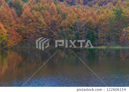 [Nagano Prefecture] Mishaka Pond and autumn leaves on a rainy day 122606154