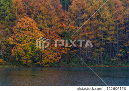 【長野縣】雨天的御散花池與紅葉 122606158