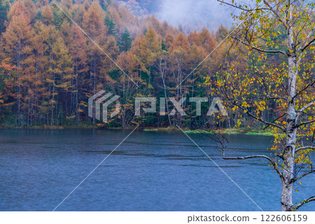 【長野縣】雨天的御散花池與紅葉 122606159