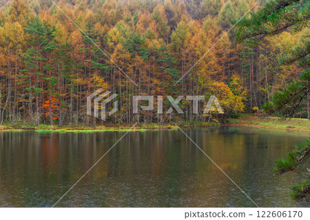 【長野縣】雨天的御散花池與紅葉 【長野縣】雨天的御散花池與紅葉 122606170