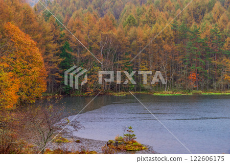 【長野縣】雨天的御散花池與紅葉 122606175