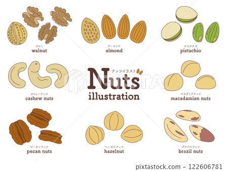 Set of illustrations of nuts such as almonds and walnuts_with main lines 122606781
