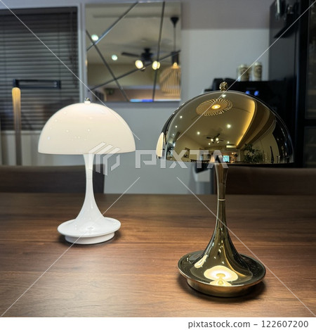 Portable lighting in the dining area 122607200