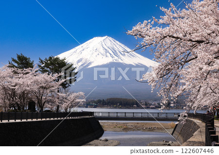 山梨縣河口湖町，從河口湖畔眺望富士山，櫻花盛開 122607446