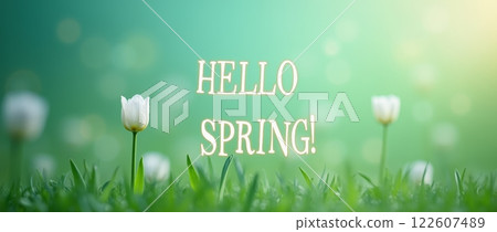 Hello Spring text with white tulips on green blurred background. Seasonal greeting banner with soft bokeh and copy space 122607489