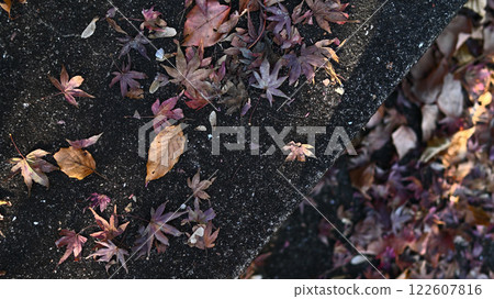 Fallen leaves that fell on the stairs 122607816
