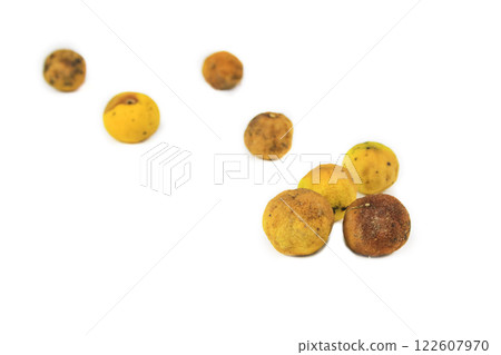 Yellow lemon shows signs of decay, with dark spots and shriveled skin, resulting from neglect and bacterial or fungal infection. 122607970